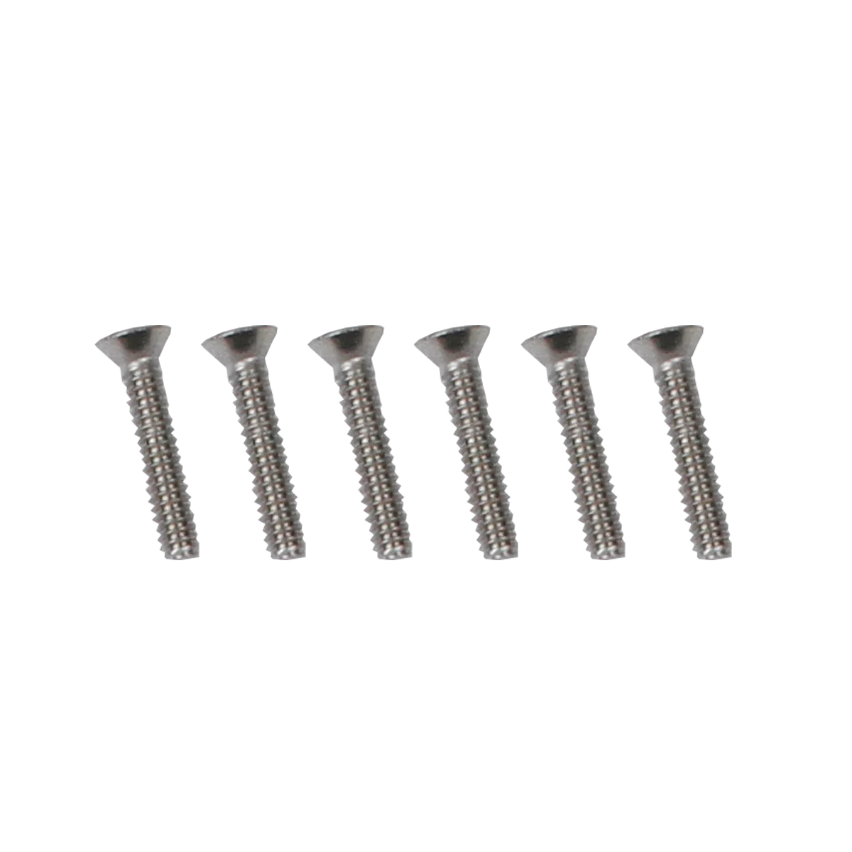 Phase Five Screws (pack of 20) 1"